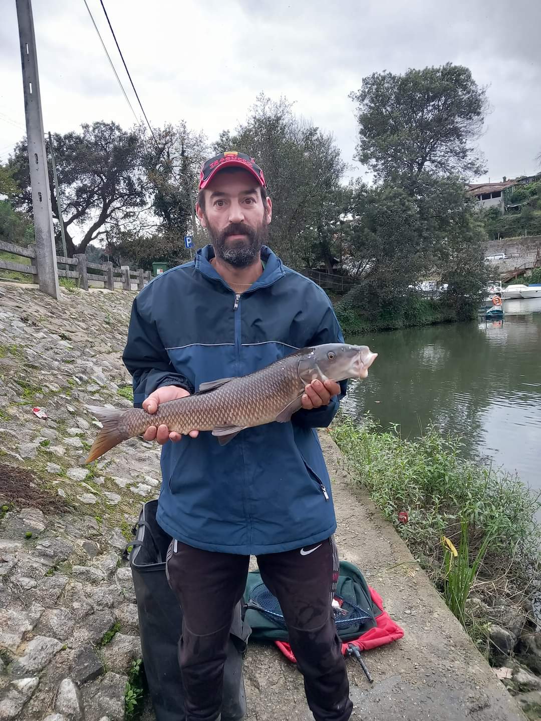 Paulo Rodrigues