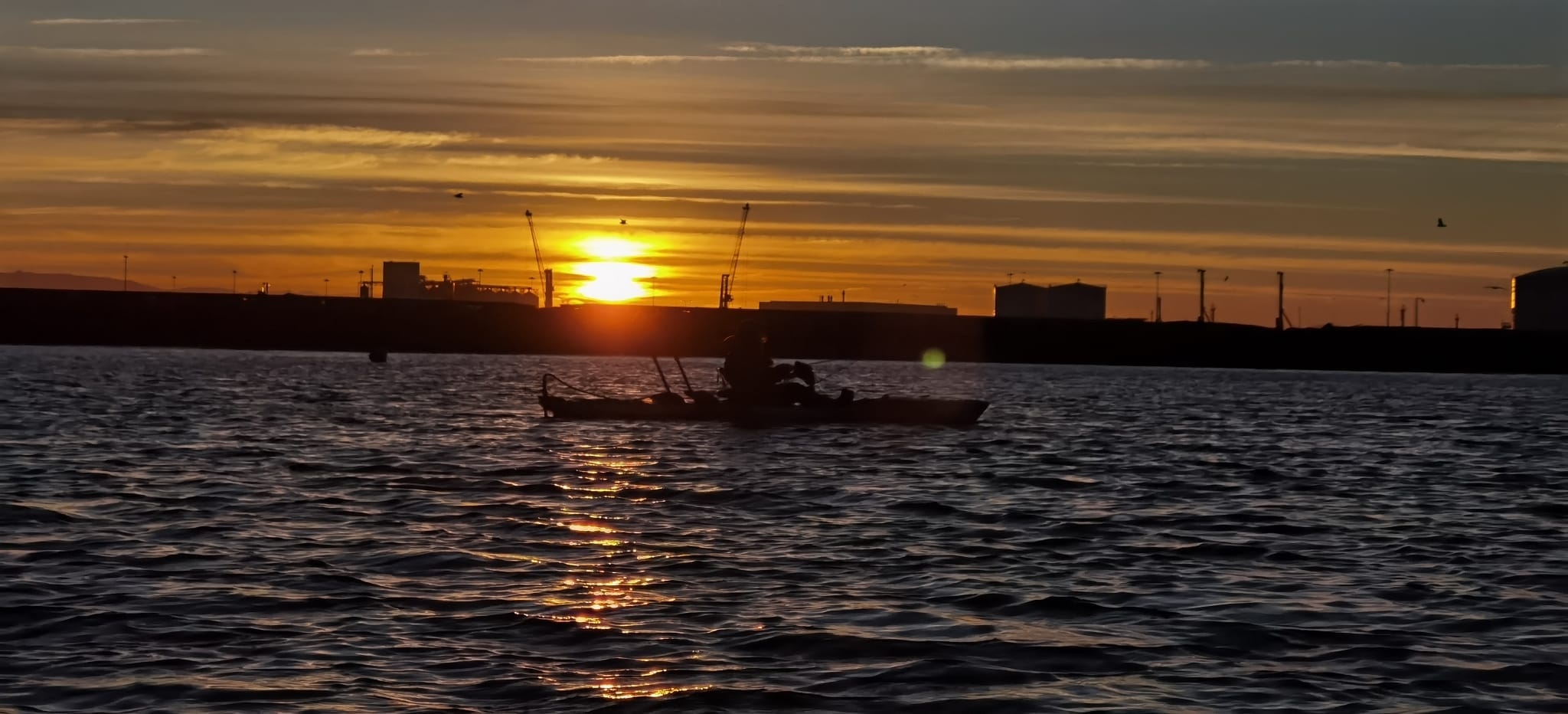 José Rio