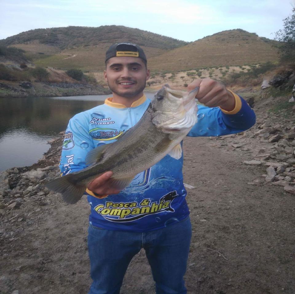 Nuno Manso