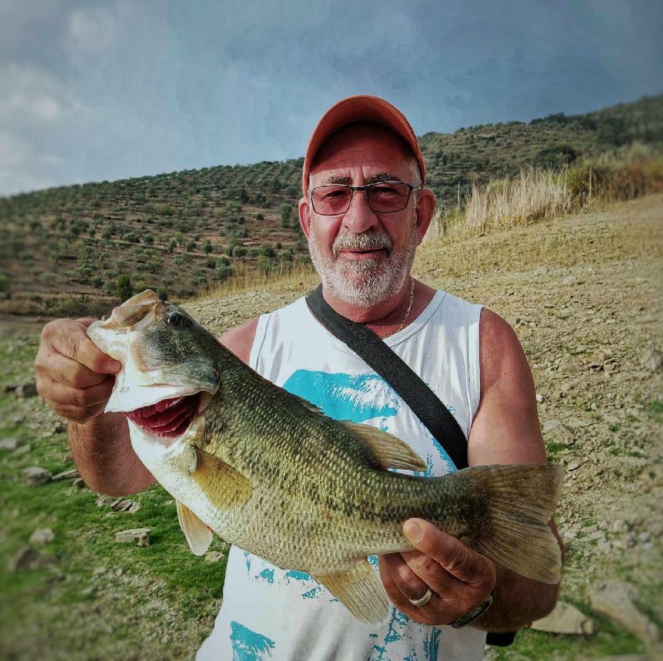 Joaquim Azevedo