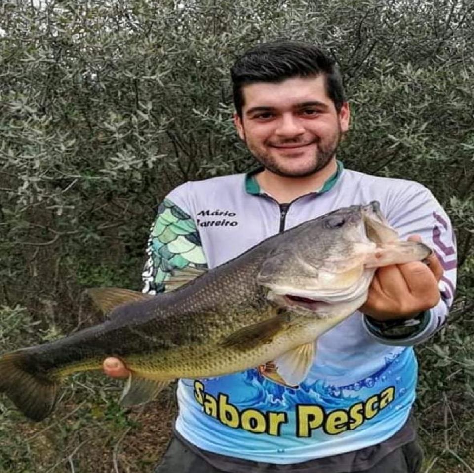 ZÃ© MÃ¡rio