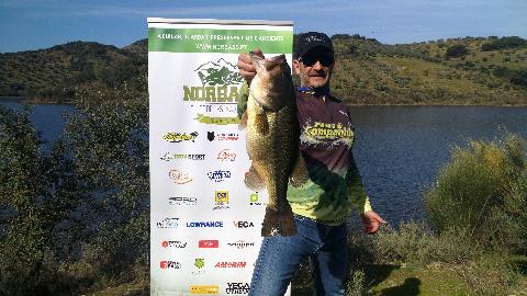 Bass